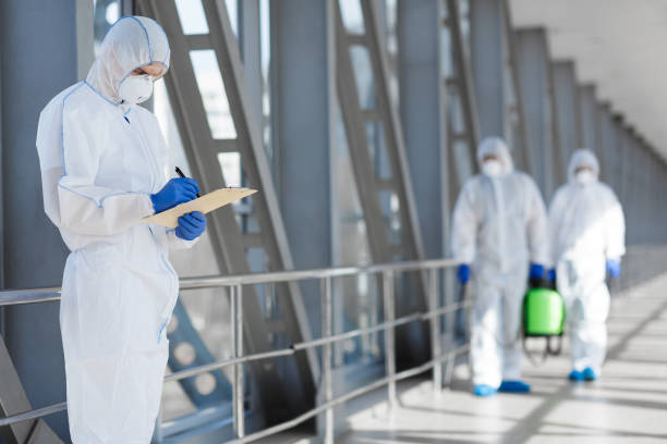 Best Basement Mold Removal  in Bellows Falls, VT