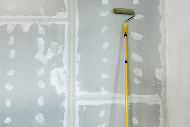Best Black Mold Removal  in Bellows Falls, VT