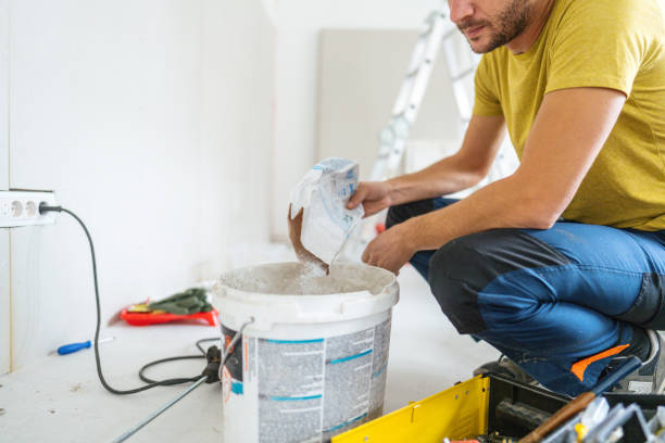 Best Black Mold Removal  in Bellows Falls, VT