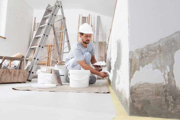Reliable Bellows Falls, VT Mold Removal Solutions