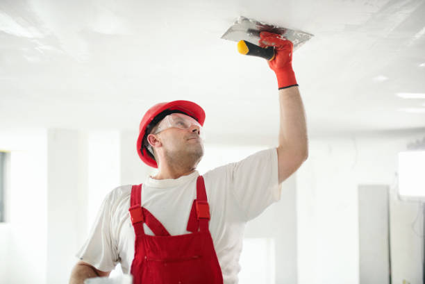 Best Water Damage & Mold Remediation  in Bellows Falls, VT
