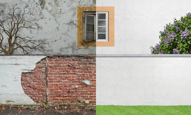 Environmental Consulting for Mold Prevention in Bellows Falls, VT