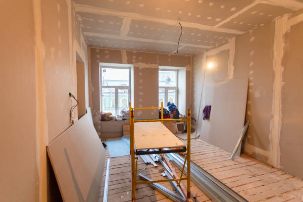 Best Mold Damage Restoration  in Bellows Falls, VT