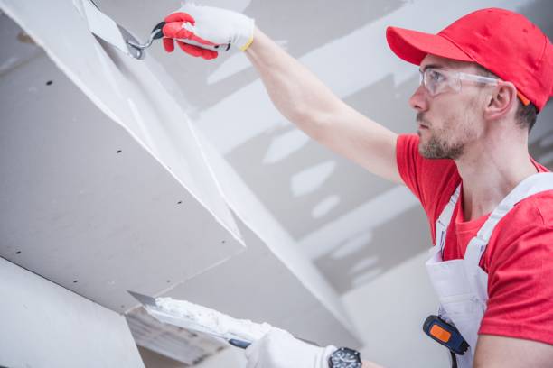 Best Attic Mold Removal  in Bellows Falls, VT